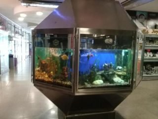 galería acuario villa carlos paz