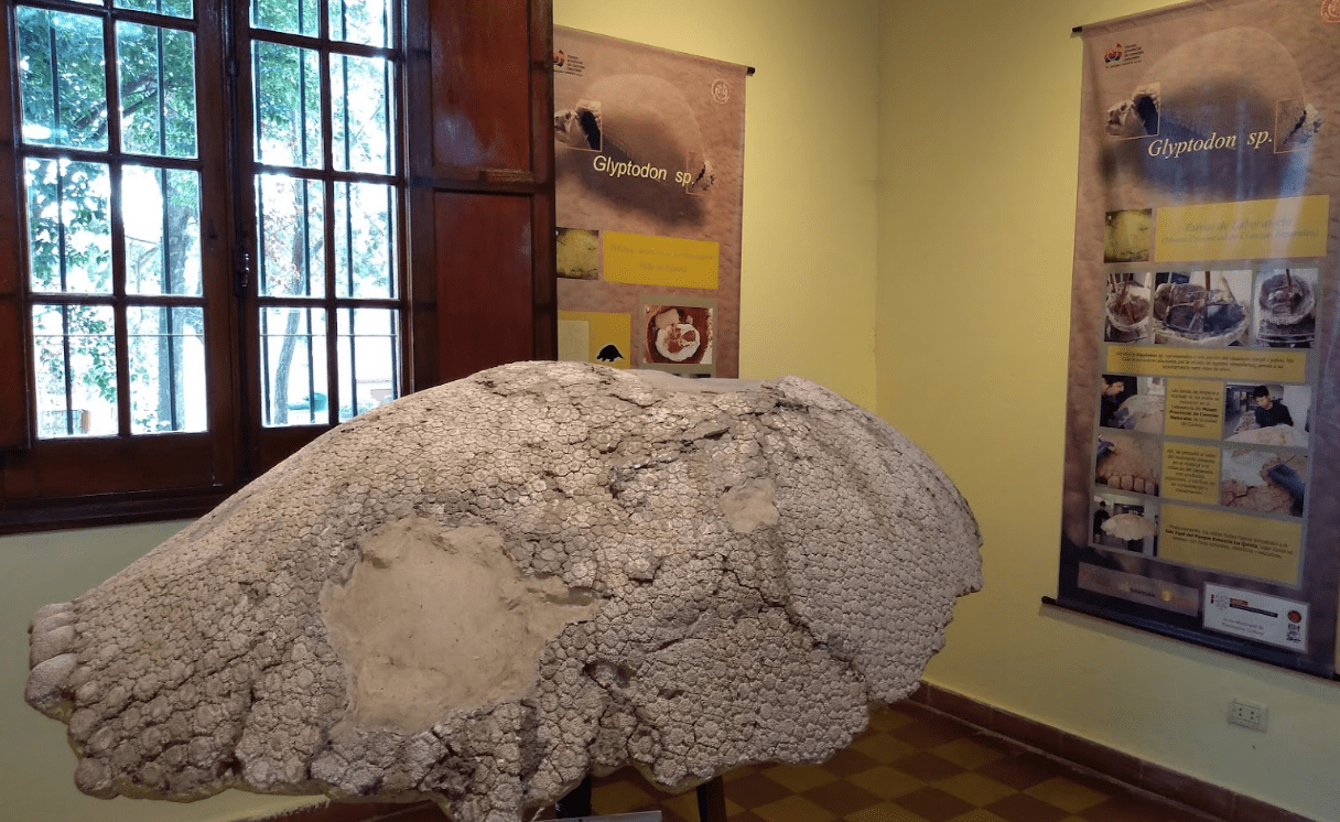 glyptodonte Museo Arqueológico Numba Charava parqueestancia la quinta